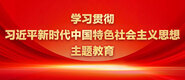 给嫂子插出水了啊啊啊啊啊啊学习贯彻习近平新时代中国特色社会主义思想主题教育_fororder_ad-371X160(2)